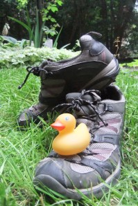 Mercantile est impatient de reprendre le large